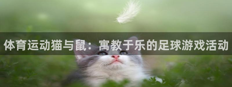 QQ体育直播：体育运动猫与鼠：寓教于乐的足球游戏活动