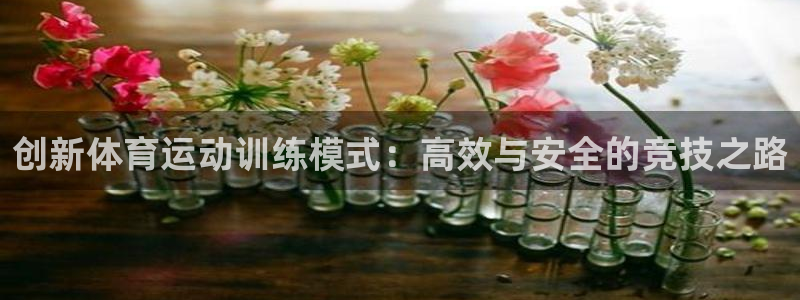 qq体育视频：创新体育运动训练模式：高效与安全的竞技之路