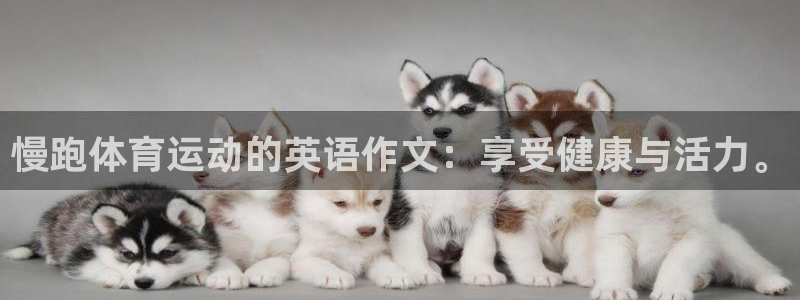 qq体育