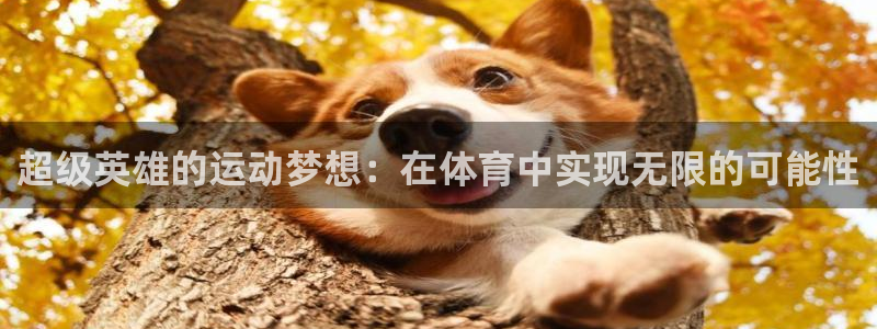 qq体育直播网