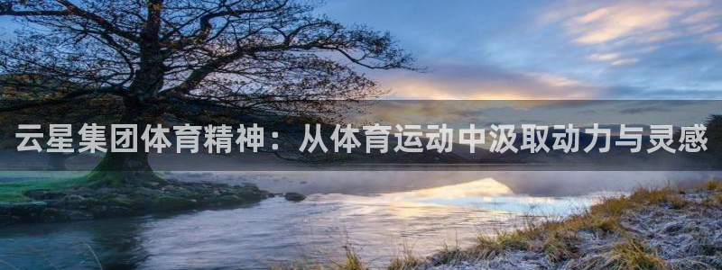 qq体育下载安装：云星集团体育精神：从体育运动中汲取动力与灵感