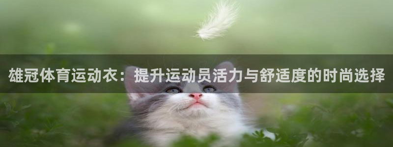 qq体育视频：雄冠体育运动衣：提升运动员活力与舒适度的时尚选择